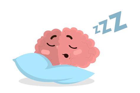 Neuroscientist Explains the Brain on Insufficient Sleep | Sleep Review