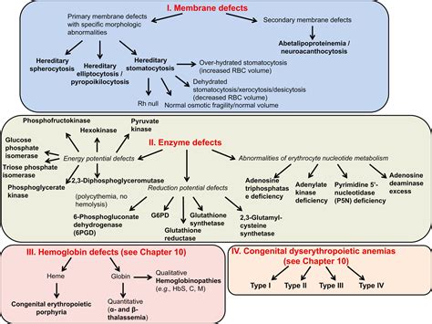 General Considerations Of Hemolytic Diseases Red Cell Membrane And