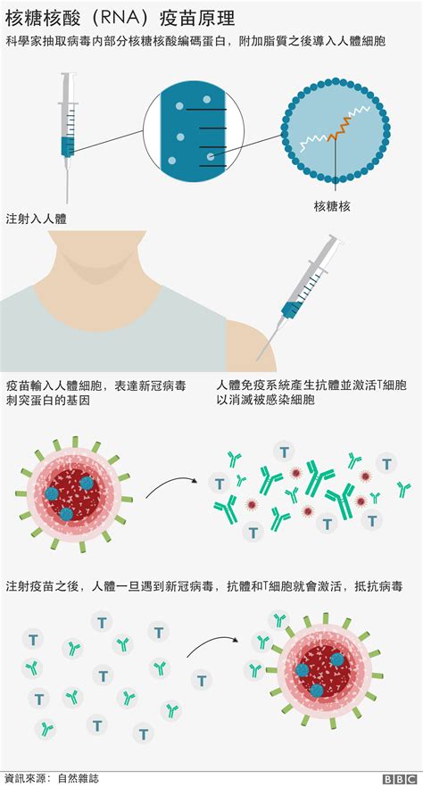 辉瑞biontech疫苗 你需要了解的几个问题 Bbc News 中文