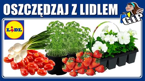 Lidl Nowa Gazetka Od Czwartku Oszcz Dzaj Z Lidlem Youtube