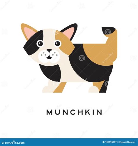 Munchkin Kitten with Funny Muzzle. Cartoon Domestic Cat Character