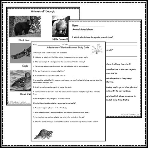 Adaptations of Living Things Georgia Plants and Animals Unit | Made By Teachers