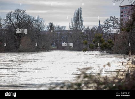 Hochwasser a Dessau in Dessau Roßlau Hat das Hochwasser am Mittwoch