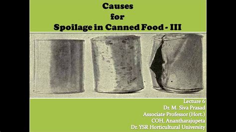 Causes For Spoilage In Canned Food Youtube