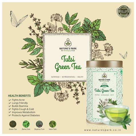 Natures Park Classic Tulsi Green Tea For Weight Loss Rich In