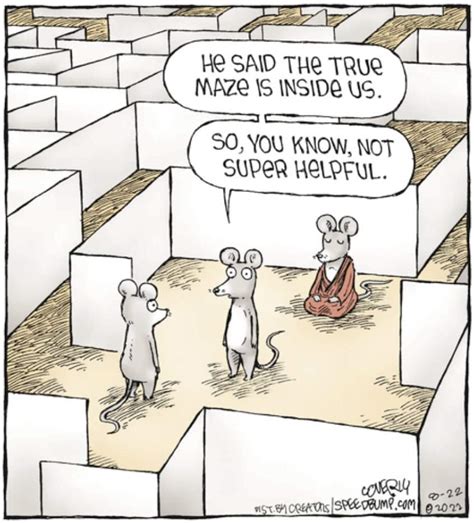 cartoon variation dainis  michel