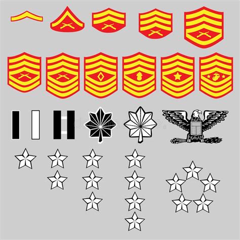 US Marine Corp Rank Insignia. Vector set of US Marine Corp officer and enlisted , #Ad, #Insignia ...