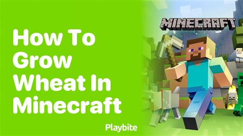 How To Grow Wheat In Minecraft Playbite