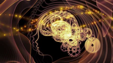 skills  evolving sam soyombo career pathways