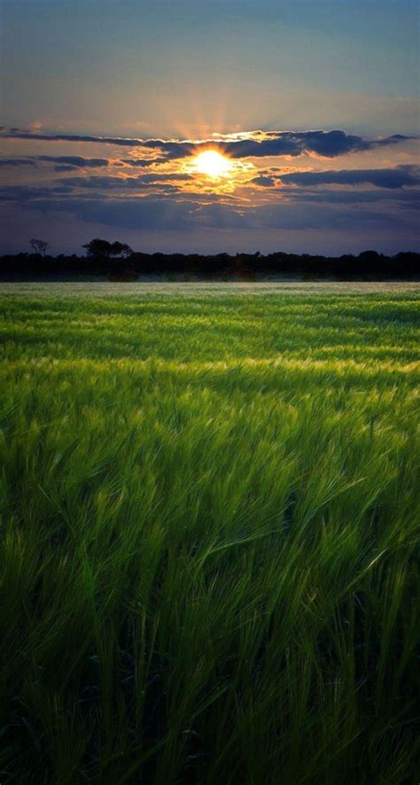 Green Sunset Wallpapers - Top Free Green Sunset Backgrounds ...