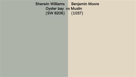 Sherwin Williams Oyster Bay Sw 6206 Vs Benjamin Moore Muslin 1037 Side By Side Comparison