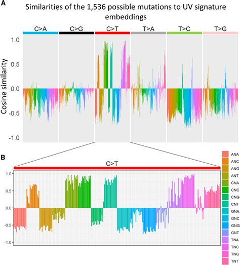 Cancer Mutational Signatures Identification In Clinical Assays Using