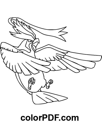 Pidgeot Pokemon Gratis PDF Dibujos Para Colorear Y Libros En PDF