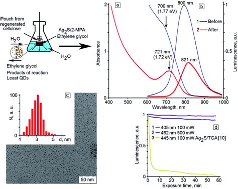 Optical Absorption A And Photoluminescence B Spectra Of Ag2s 2 Mpa Download Scientific