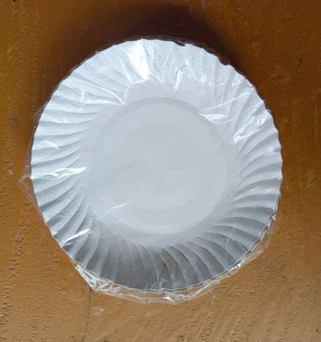 Disposable Paper Plate 10 Inch At Rs 35 Pack Paper Plate In Chennai