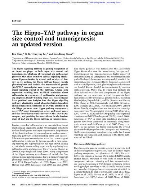 Pdf The Hippoyap Pathway In Organ Size Control And Genesdevcshlp