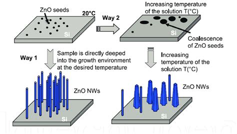 Schematic Sketch Of Two Possible Routes For Zno Nanowire Array