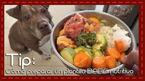 Alimenta A Tu Perro De Forma Natural Y Saludable Descubre C Mo