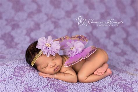 Leah Lavender Glitter Butterfly Wing Set