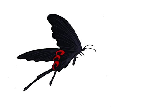 Bleach Jigokuchou Hell Butterfly Render By Otohimeyun On Deviantart