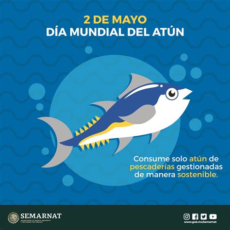 SEMARNAT México on Twitter Hoy DíaDelAtún la ONUMedioAmb nos