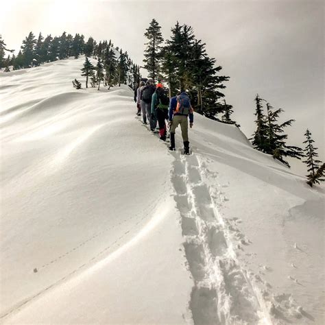 Tubbs Flex Alp Backcountry Snowshoes Absolute Snow