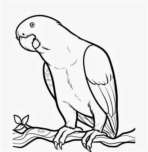 Outline Drawings Of Birds | Free download on ClipArtMag