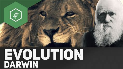 Evolutionstheorie Von Charles Darwin YouTube