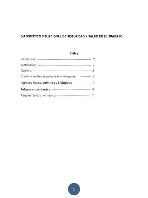 Diagnostico Situacional De Seguridad Y Salud 00 Pdf