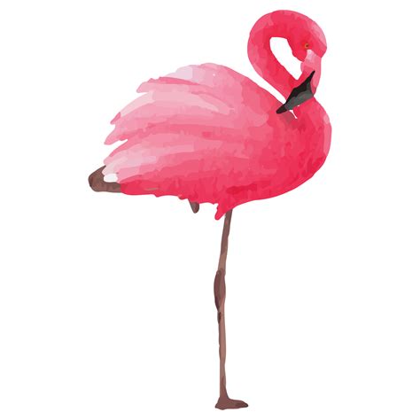 Pink Flamingo Tropical Clip Art Element Transparent Background 24628744 Png