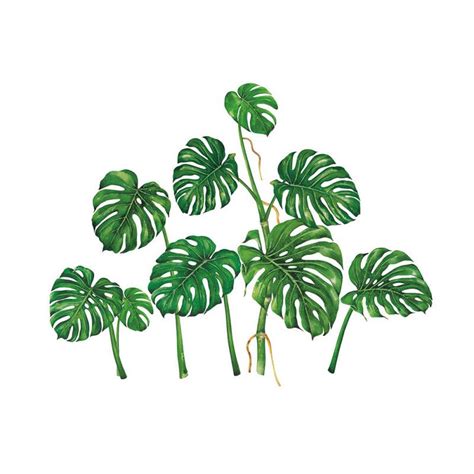 Köp Tropical Green Plant Leaves Wall Sticker Decal Removable Waterproof