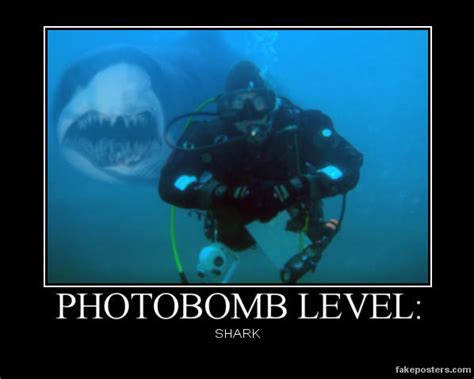 Our Favorite Scuba Diving Memes