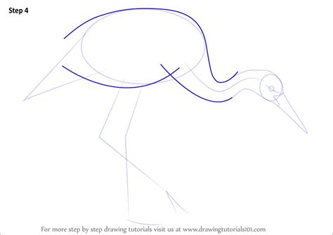 Learn How to Draw a Sandhill Crane (Birds) Step by Step : Drawing Tutorials