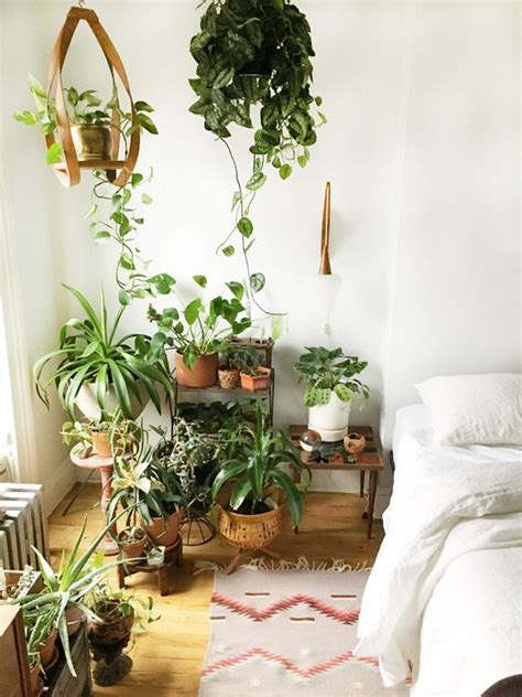 Bedroom Plants: 20+ Ways To Style Air Purifying And Cool Looking Plants