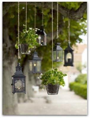 Pin by TC Tahire Ö Kalender on FENERLER Hanging plants