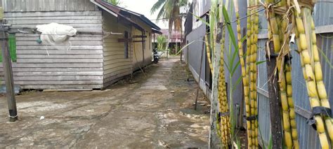 Di Jual Rumah Ples Tanah IDRumah