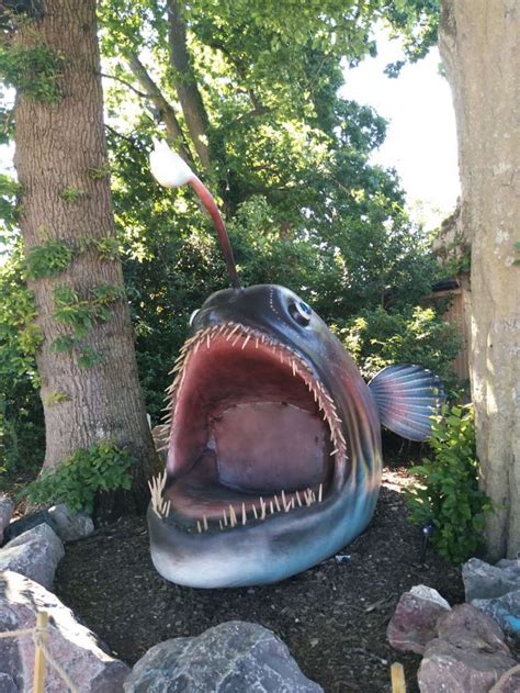 A Fake Fish With Its Mouth Open Next To Some Trees And Rocks On The Ground