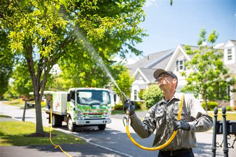 Buxmont Lawn Care Tree Service And Pest Control Joshua Tree