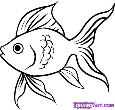 fish drawing easy - Clip Art Library