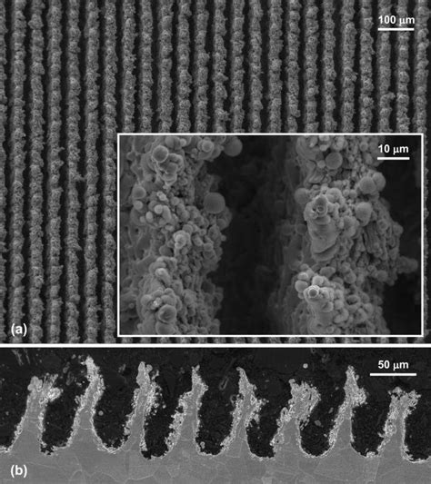 A Surface Morphology At Two Sem Magnifications After Dlt Hf With Y Download Scientific