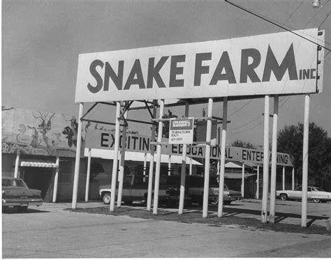 16 Thrilling Facts About New Braunfels Animal World And Snake Farm Zoo