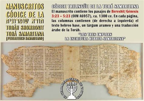 Manuscritos C Dice De La Tor Samaritana En El Instituto Oriental De