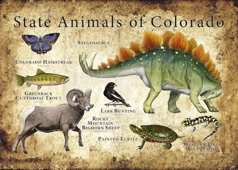 Colorado State Animals Poster Print Etsy