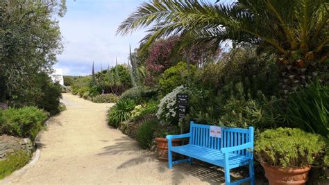 Covid Fermeture Du Jardin Du Mars Au Mai Jardin