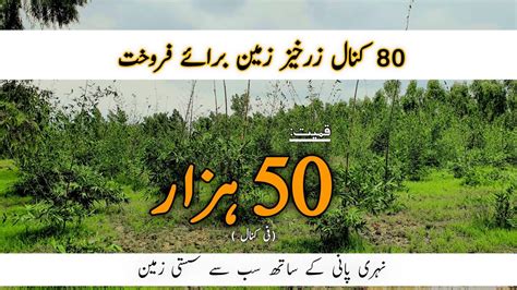 Agriculture Land For Sale In Punjab Pakistan Agriculture Land Zari