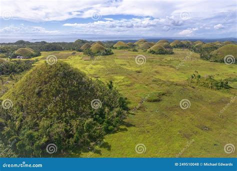 Local Clusters Of The Famous Chocolate Hills In The Sleepy Town Of