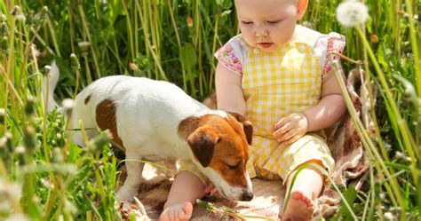 Les mammifères avec les poupons et trottineurs Educatout