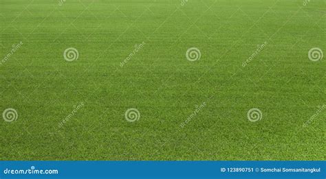 Campo De Hierba Verde Césped Verde Hierba Verde Para El Campo De Golf Fútbol Fútbol Deporte