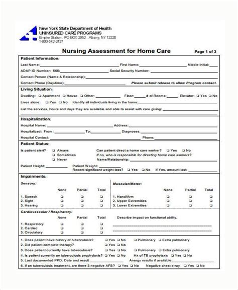 Mmse Assessment Form