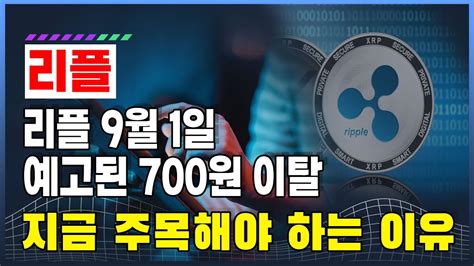 리플 9월 1일 예고된 급락 700원 이탈 지금 주목해야 하는 이유 Youtube